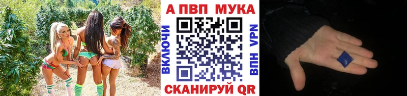 Купить Павловский Посад A PVP СК