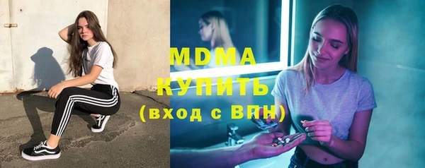 шишки Гусь-Хрустальный