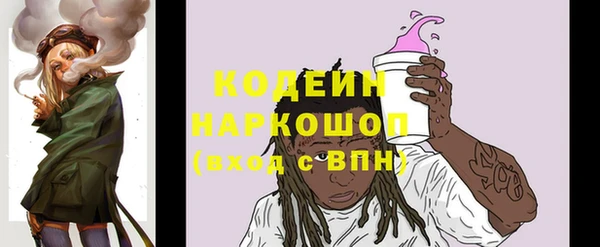 шишки Гусь-Хрустальный