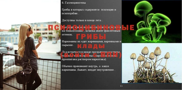 кокаин премиум Гусев