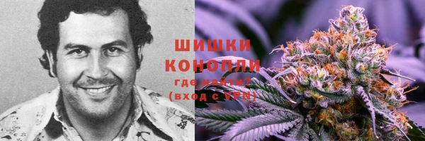 шишки Гусь-Хрустальный
