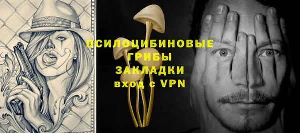 шишки Гусь-Хрустальный
