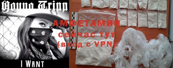 шишки Гусь-Хрустальный