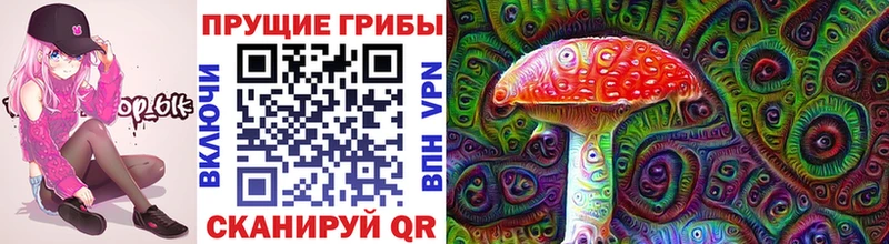 Галлюциногенные грибы Cubensis  Купить закладки  Павловский Посад 